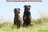 Mes Beaucerons